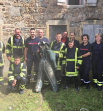 Pompiers de St Igny de Vers
